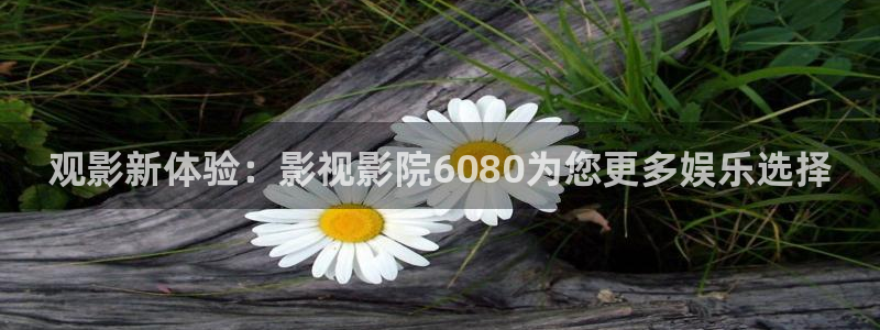 新西瓜电影