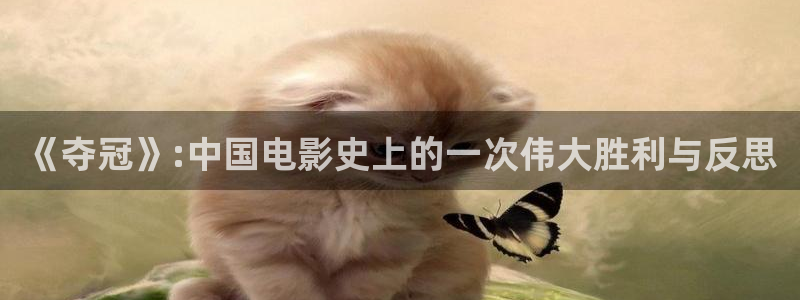 去有风的地方免费观看西瓜