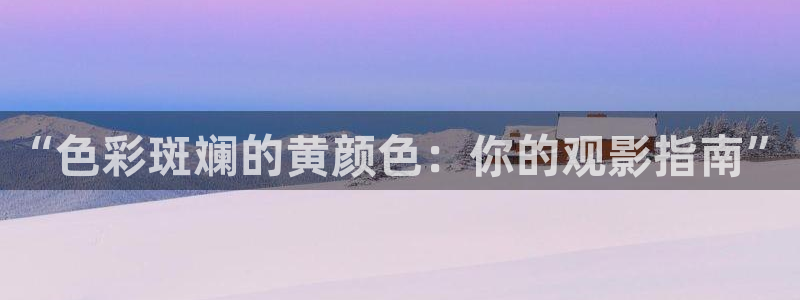 西瓜影院555