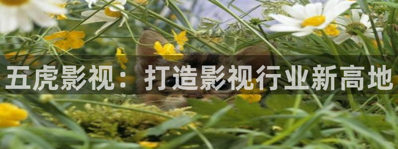 幸福爱人电视剧免费观看西瓜