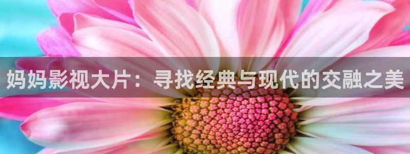 士兵突击在线观看免费西瓜