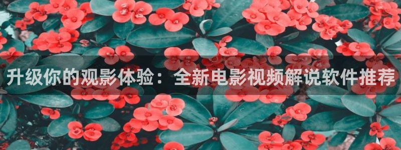 西瓜照片