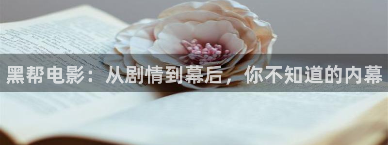 放羊的星星西瓜影院