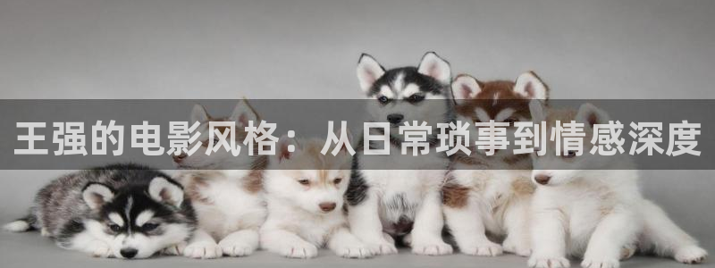 nba直播免费观看西瓜