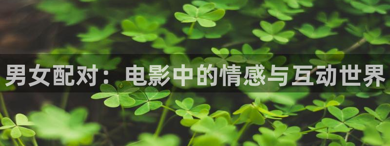 成都 西瓜：男女配对：电影中的情感与互动世界