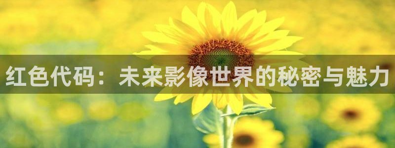 西瓜视频官方免费安装：红色代码：未来影像世界的秘密与魅力