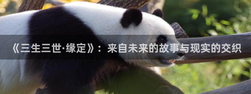 西瓜摄影图片：《三生三世·缘定》：来自未来的故事与现实的交织