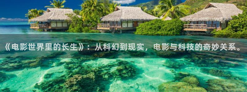 西瓜影院2