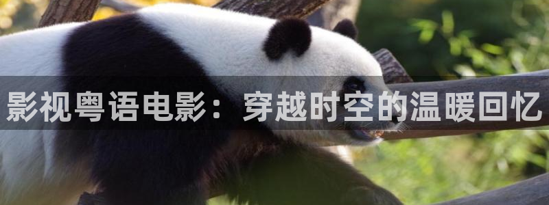 龙岭迷窟电视剧在线看西瓜