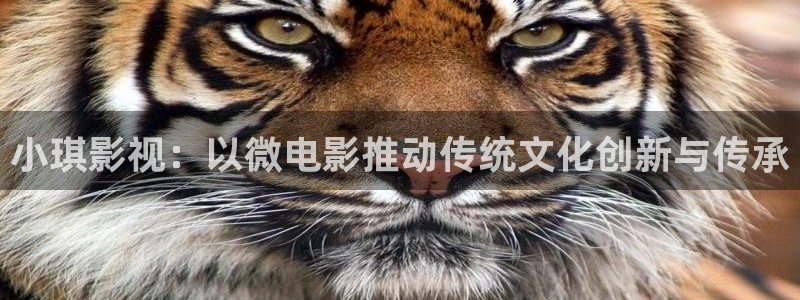 西瓜视频官方免费安装