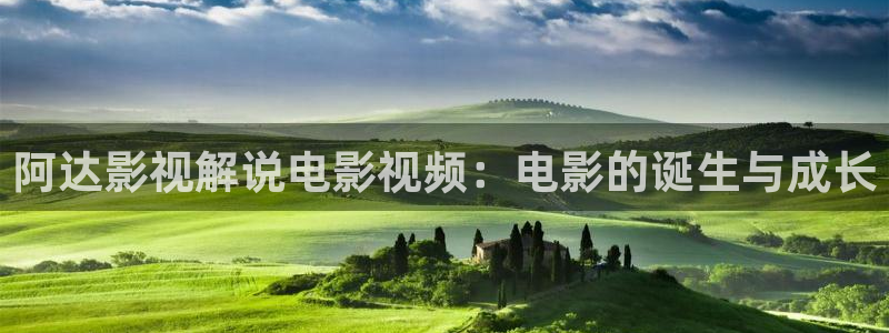 西瓜视频安装：阿达影视解说电影视频：电影的诞生与成长