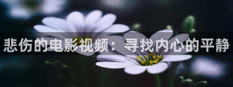 龙岭迷窟电视剧免费观看西瓜：悲伤的电影视频：寻找内心的平静