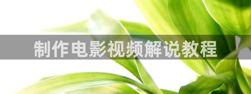 请回答1988在线观看免费观看西瓜：制作电影视频解说教程