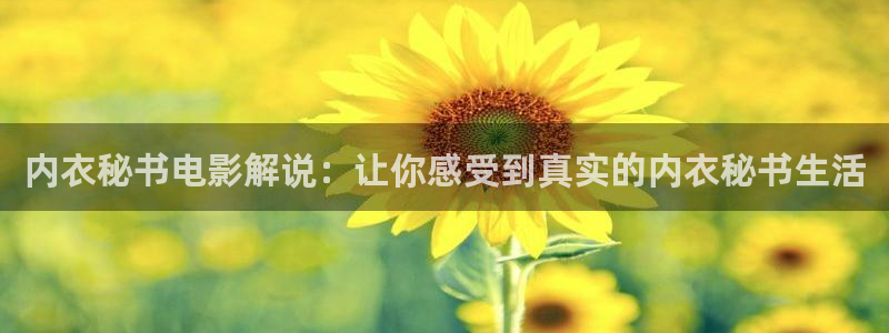 西瓜电影电视剧大全免费观看：内衣秘书电影解说：让你感受到真实的内衣秘书生活