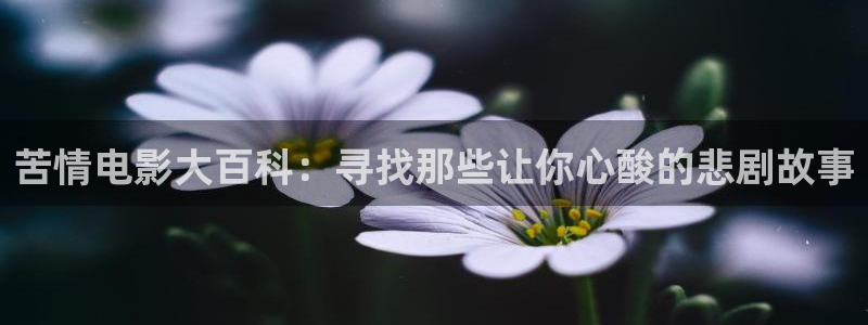 麻雀免费观看完整版西瓜：苦情电影大百科：寻找那些让你心酸的悲剧故事