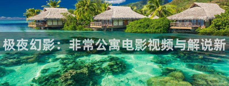 西瓜影院电影在线观看：极夜幻影：非常公寓电影视频与解说新