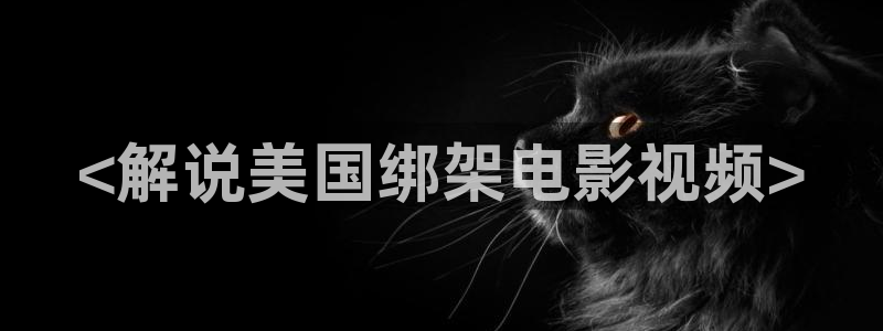 西瓜影院2023：<解说美国绑架电影视频>