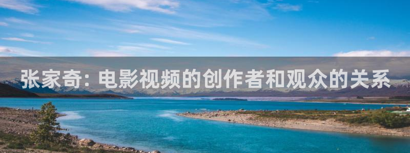 遮天在线观看免费观看西瓜：张家奇: 电影视频的创作者和观众的关系