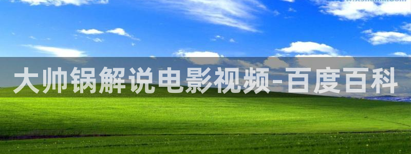 西瓜伦理影院：大帅锅解说电影视频-百度百科