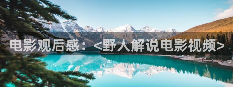 玫瑰之战电视剧免费观看西瓜影院：电影观后感：<野人解说电影视频>