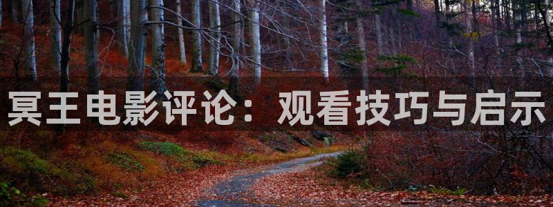 西瓜电影频道：冥王电影评论：观看技巧与启示