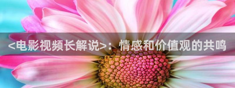 西瓜影院免费版看大片：<电影视频长解说>：情感和价值观的共鸣