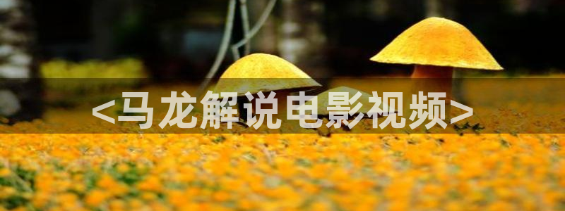 我们的四十年在免费观看西瓜：<马龙解说电影视频>