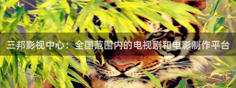 西瓜电影全部观看：三邦影视中心：全国范围内的电视剧和电影制作平台