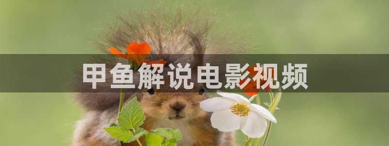 安家电视剧西瓜影院免费观看：甲鱼解说电影视频