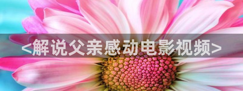 西瓜影院2023