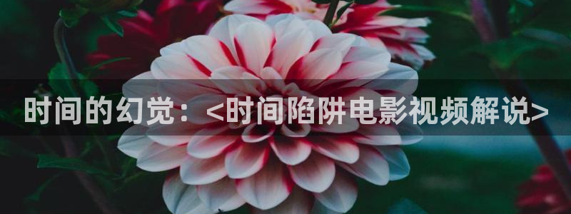 妈妈的朋友2在线西瓜：时间的幻觉：<时间陷阱电影视频解说>