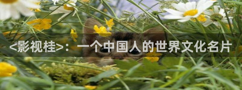 西瓜影院2016：<影视桂>：一个中国人的世界文化名片