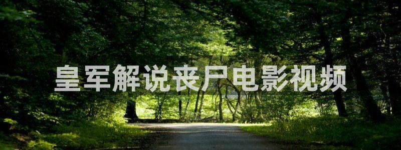 www.西瓜视频：皇军解说丧尸电影视频