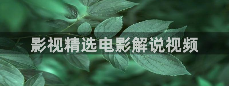 西瓜视：影视精选电影解说视频