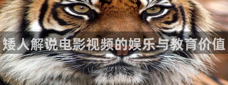 西瓜视频入口：矮人解说电影视频的娱乐与教育价值