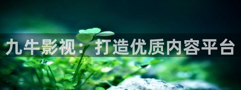 西瓜视频免费版下载安装：九牛影视：打造优质内容平台