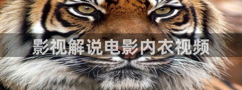 西瓜影厅