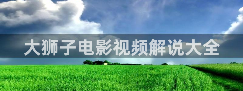 琪琪西瓜影院：大狮子电影视频解说大全