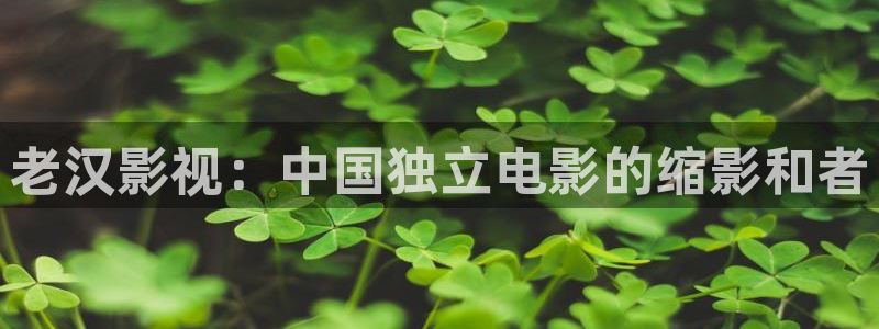 西瓜影院怎么下载：老汉影视：中国独立电影的缩影和者