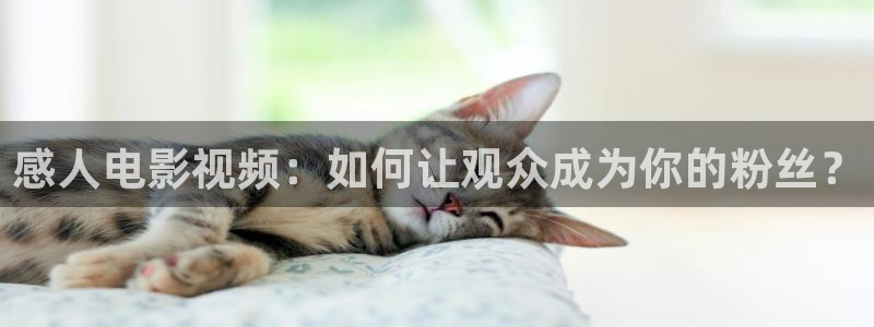 花间令西瓜免费观看：感人电影视频：如何让观众成为你的粉丝？