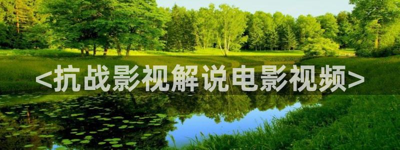 我的阿勒泰全集免费观看西瓜影院：<抗战影视解说电影视频>