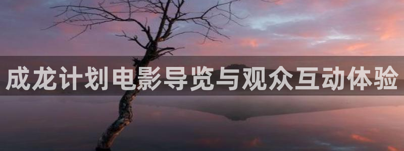 西瓜影院在线伦理：成龙计划电影导览与观众互动体验