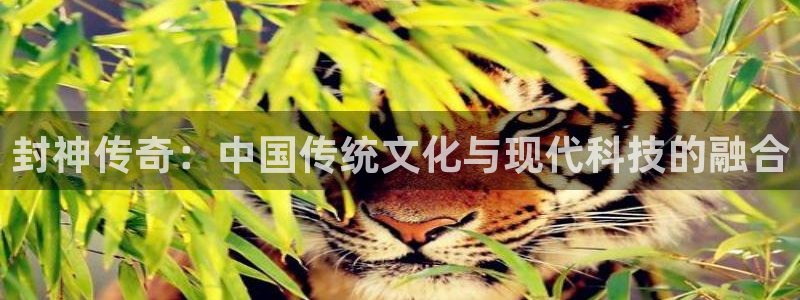 西瓜av在线