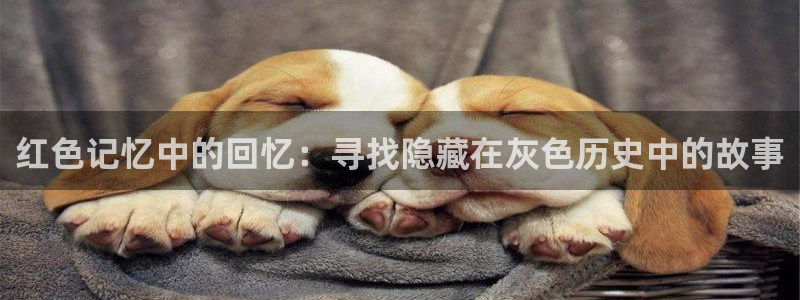 西瓜影院在线观看电视剧