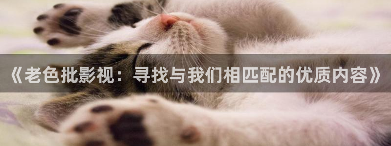 李卫辞官42集西瓜免费观看