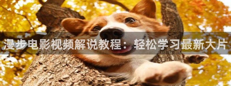 西瓜视频直播