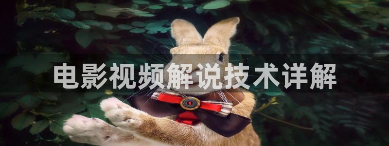 西瓜音频