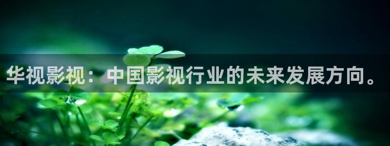 西瓜的图片