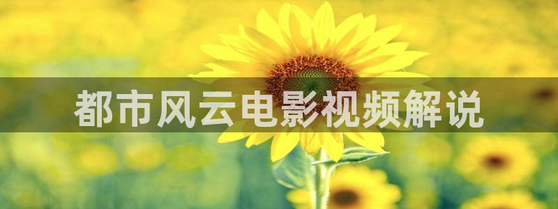 西瓜电影在线高清播放