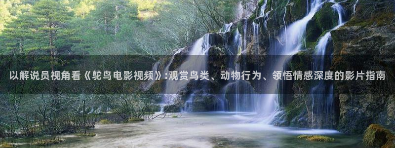 神马影院西瓜影院